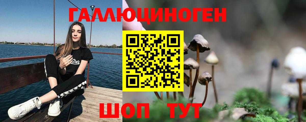 Псилоцибиновые грибы Magic Shrooms  Вход с VPN  Черняховск 