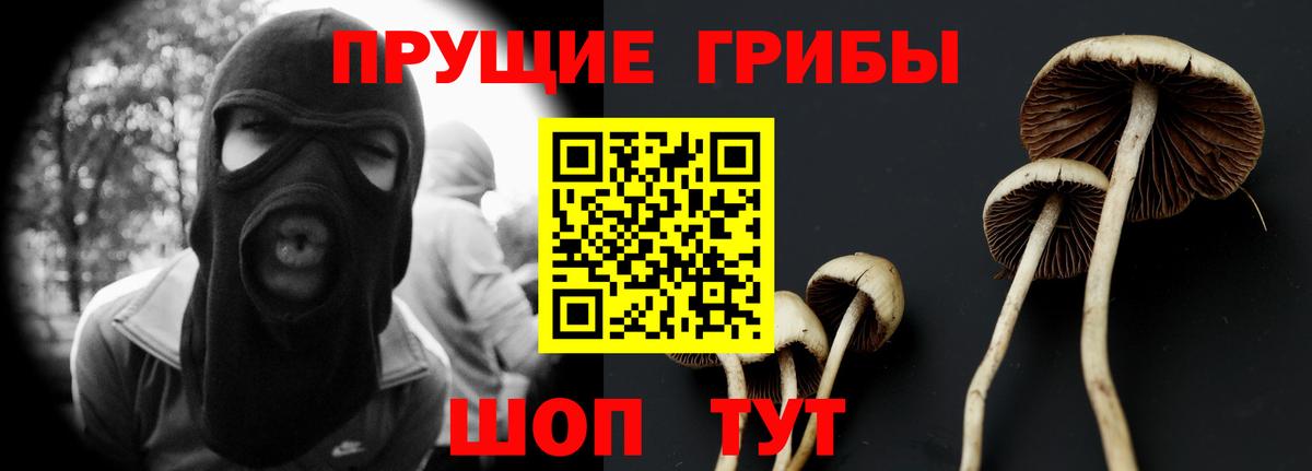 Галлюциногенные грибы мухоморы Черняховск